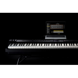 roland rd88 stage piano roland rd88 stage piano