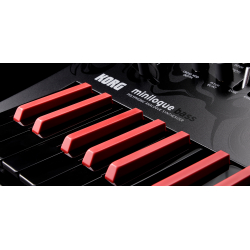 korg monologue bass sintetizzatore analogico korg monologue bass sintetizzatore analogico