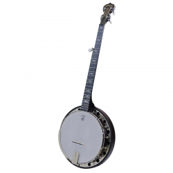 ARTISAN GOODTIME SPECIAL BANJO