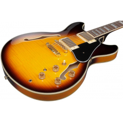 Ibanez - JSM10EM-TTB, Chitarra elettrica semiacustica Ibanez - JSM10EM-TTB, Chitarra elettrica semiacustica