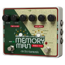 DELUXE MEMORY MAN 550-TT